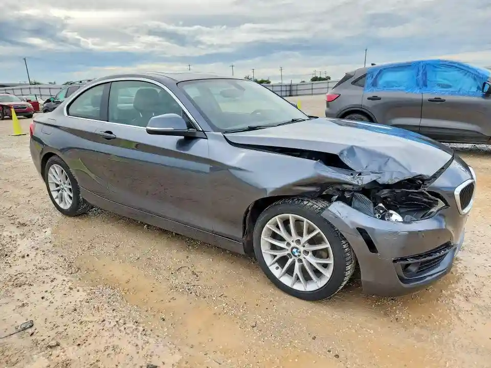 WBA1F5C55EVV99167 2014 BMW 2 SERIES-3