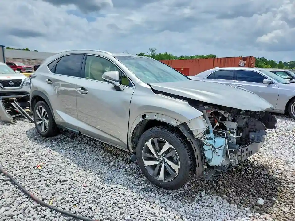 JTJBJRBZ3K2104699 2019 LEXUS NX-3