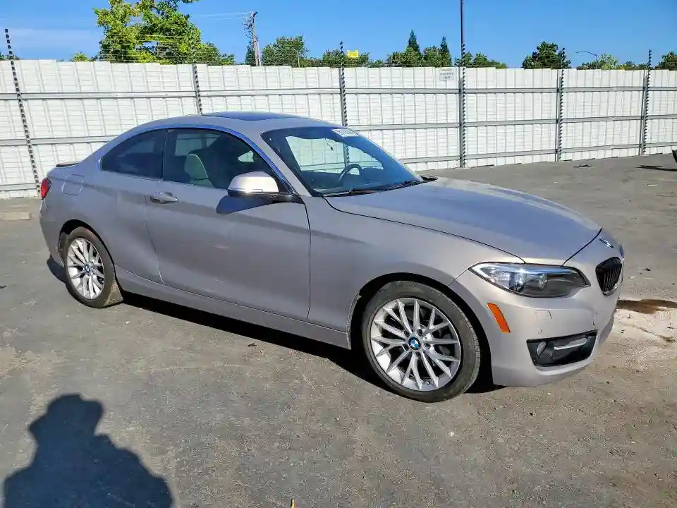 WBA1G9C59GV726624 2016 BMW 2 SERIES-3