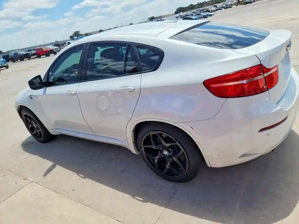 5YMGZ0C50ALK13081 2010 BMW X6-1