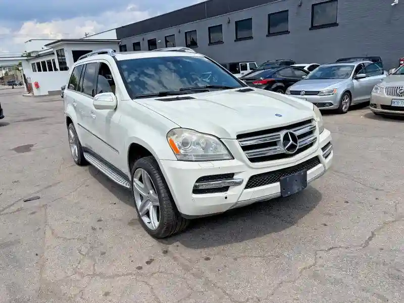 4JGBF7BE6AA582217 2010 MERCEDES-BENZ GL-CLASS-0
