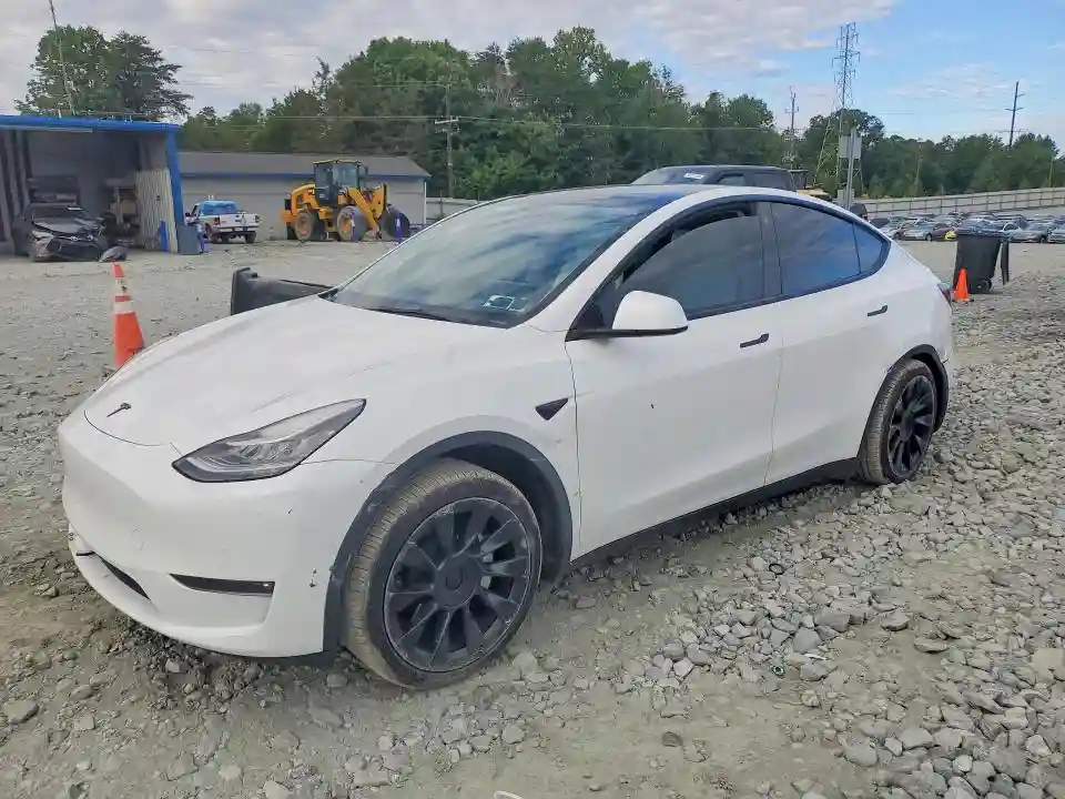 5YJYGAEE1MF195414 2021 TESLA MODEL Y-0