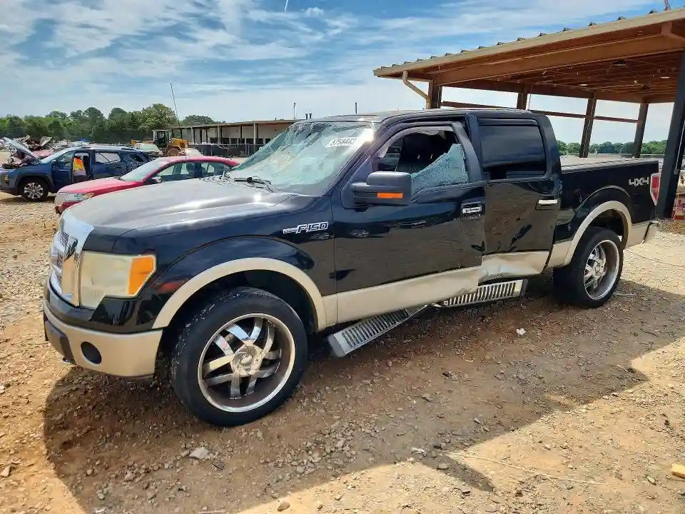 1FTFW1EV5AFD51391 2010 FORD F-150-0