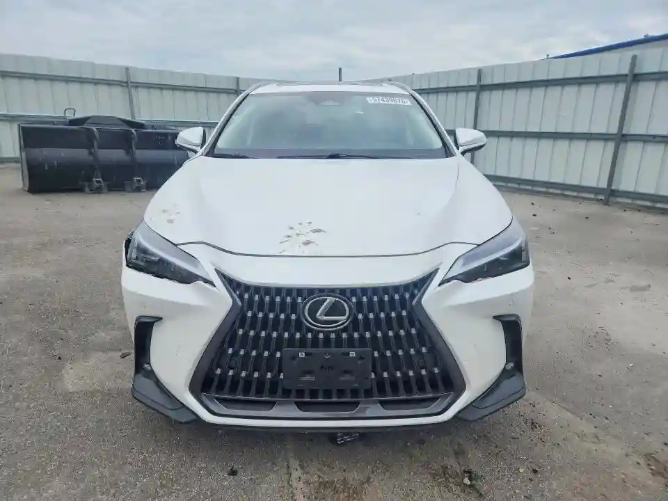JTJGGCEZ2P5005584 2023 LEXUS NX-4