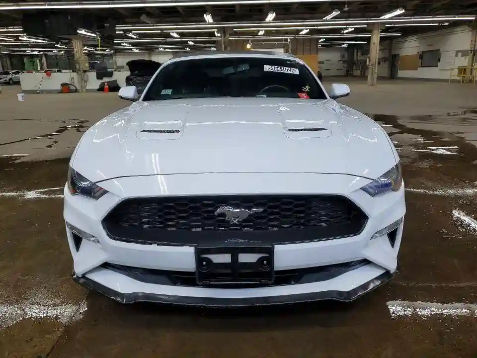 1FATP8UH5K5170292 2019 FORD MUSTANG-4