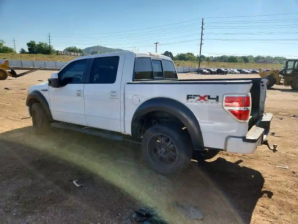 1FTFW1EV8AKB47594 2010 FORD F-150-1