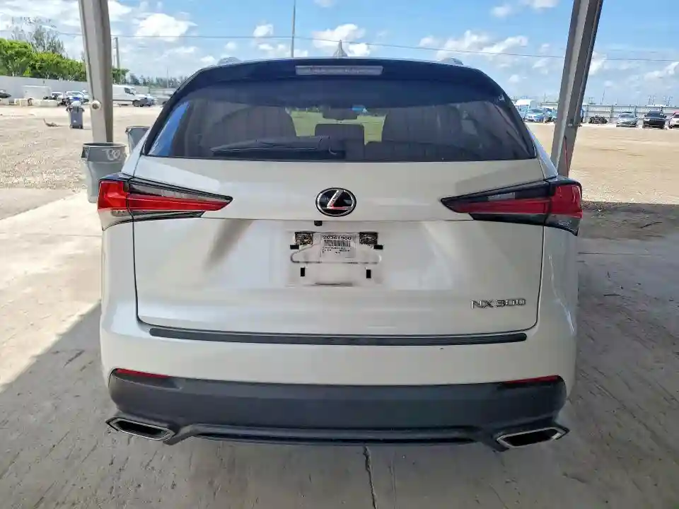 JTJAARBZ9L5018826 2020 LEXUS NX-5