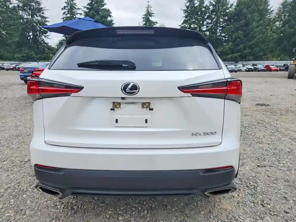 JTJDARDZ5M5027616 2021 LEXUS NX-5