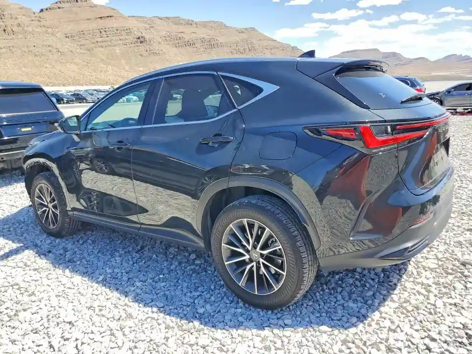 JTJGKCEZ8R5013397 2024 LEXUS NX-1
