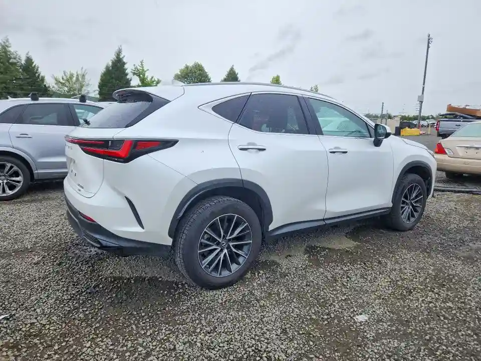 JTJAKCEZ6P5007133 2023 LEXUS NX 350H-2