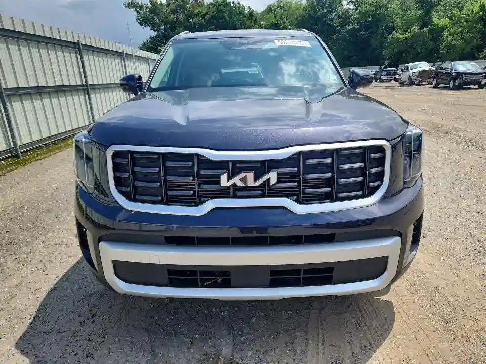 5XYP64GC9SG634540 2025 KIA TELLURIDE-4