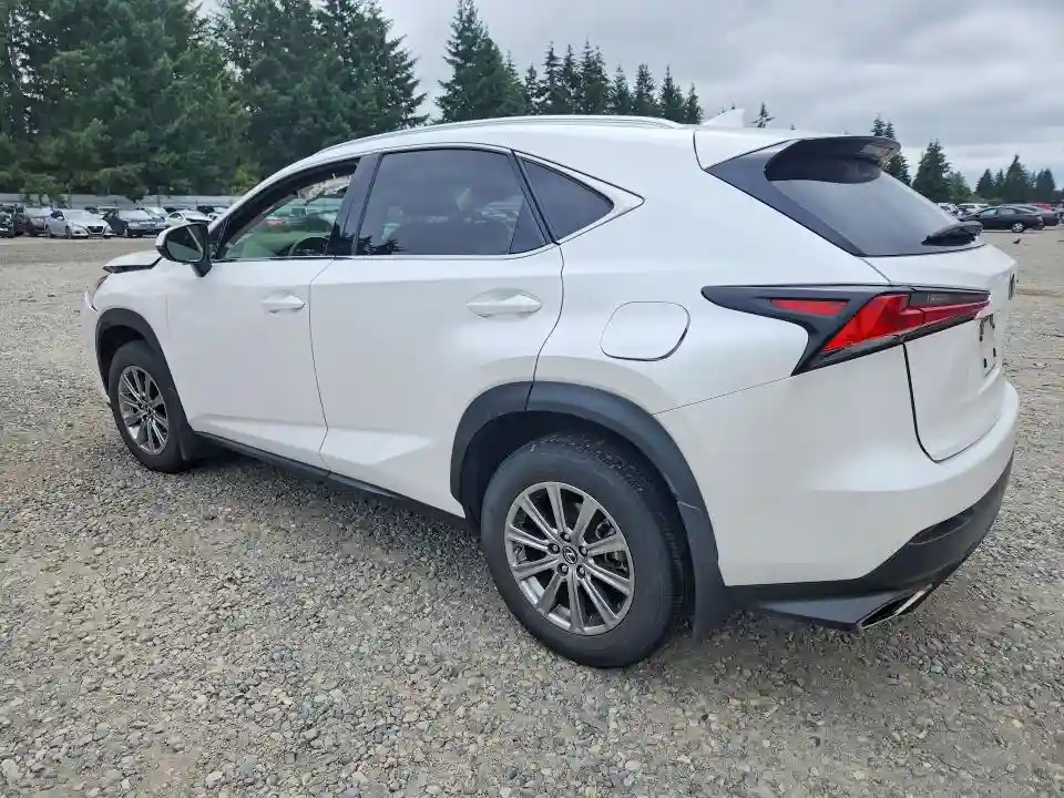 JTJDARDZ5M5027616 2021 LEXUS NX-1