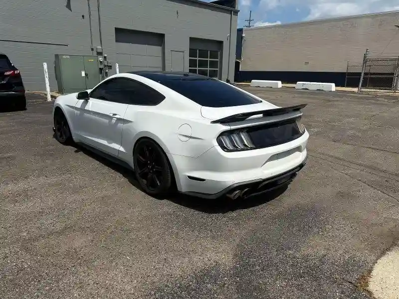1FA6P8CF4K5146692 2019 FORD MUSTANG-2