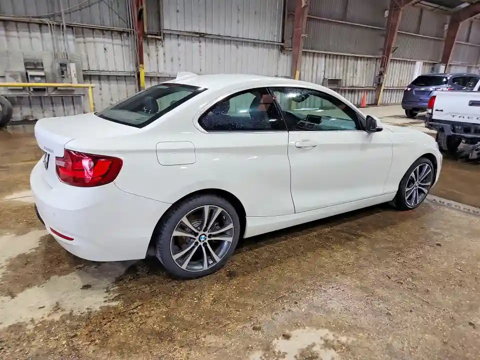 WBA1F9C53GV546364 2016 BMW 2 SERIES-2