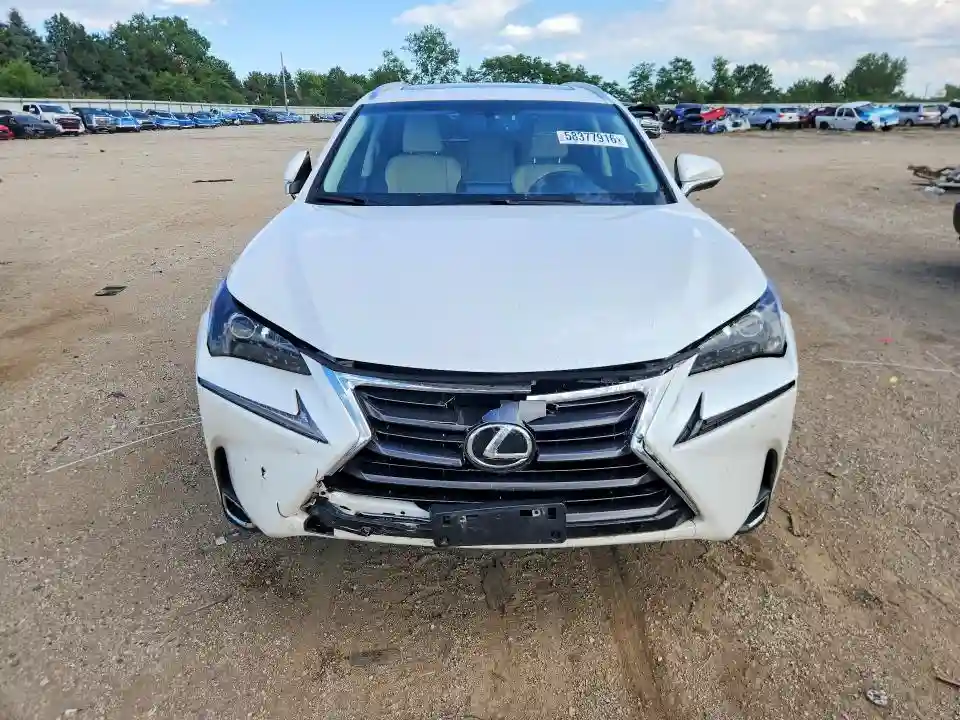 JTJBARBZ0G2059776 2016 LEXUS NX-4