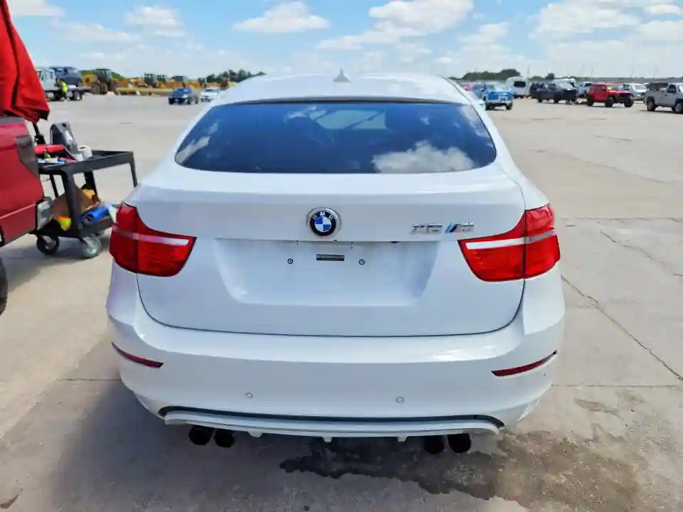 5YMGZ0C50ALK13081 2010 BMW X6-5