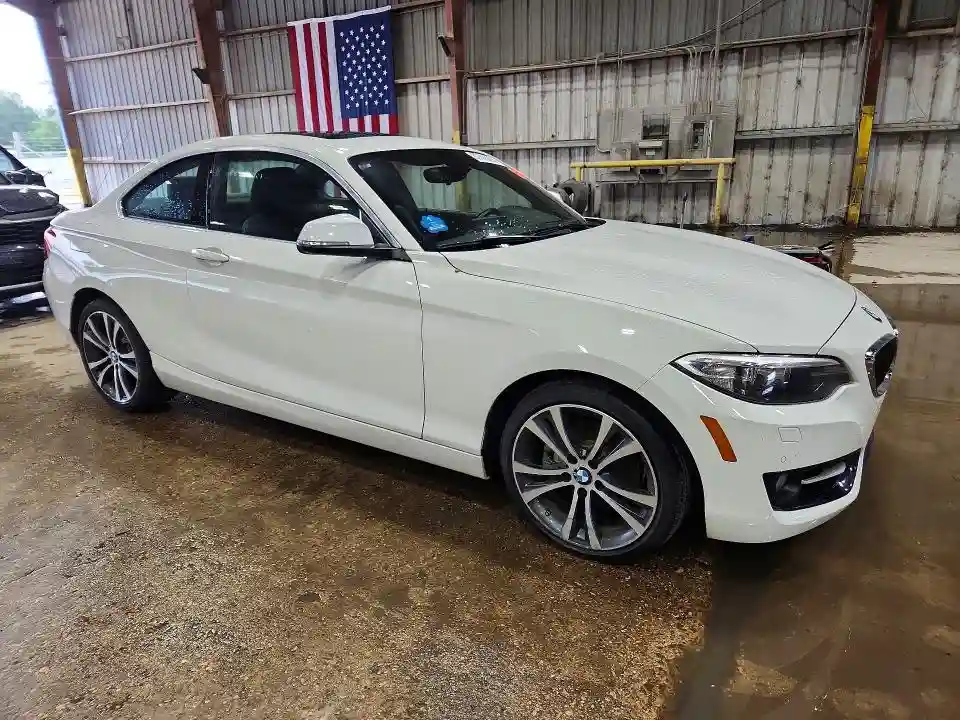 WBA1F9C53GV546364 2016 BMW 2 SERIES-3
