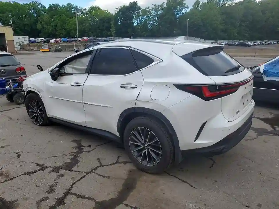 2T2GKCEZ5NC007441 2022 LEXUS NX-1