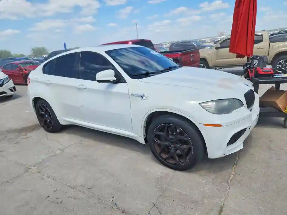 5YMGZ0C50ALK13081 2010 BMW X6-3