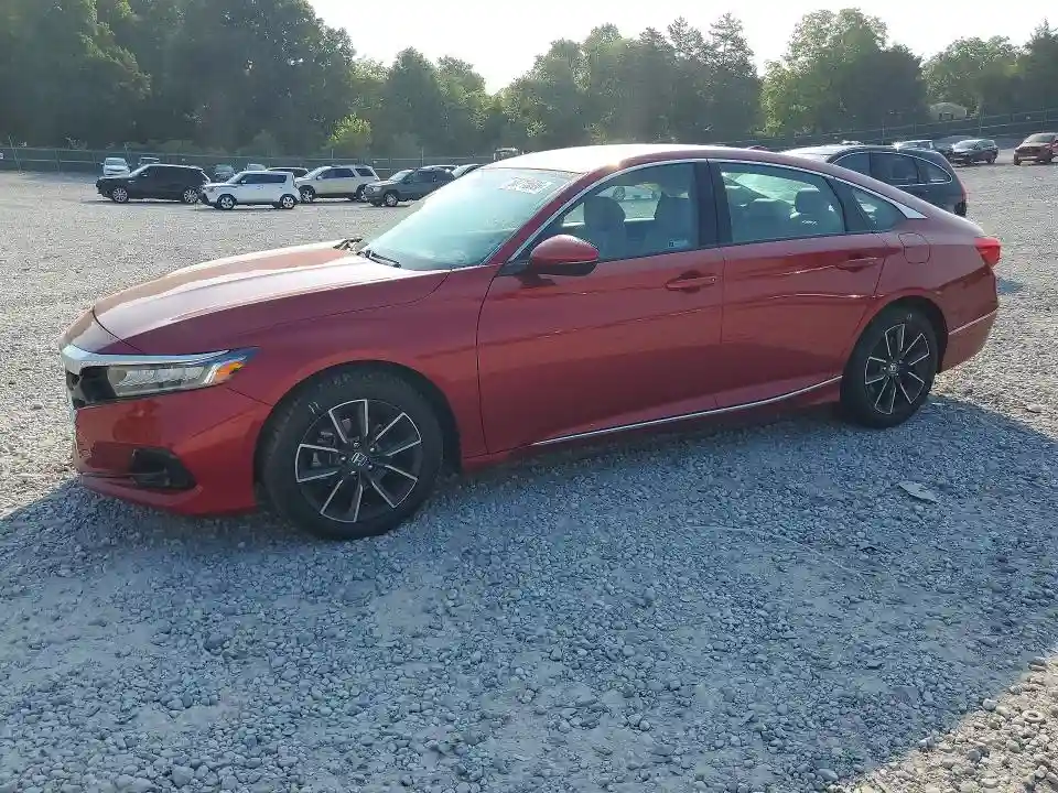 1HGCV1F54MA078239 2021 HONDA ACCORD-0