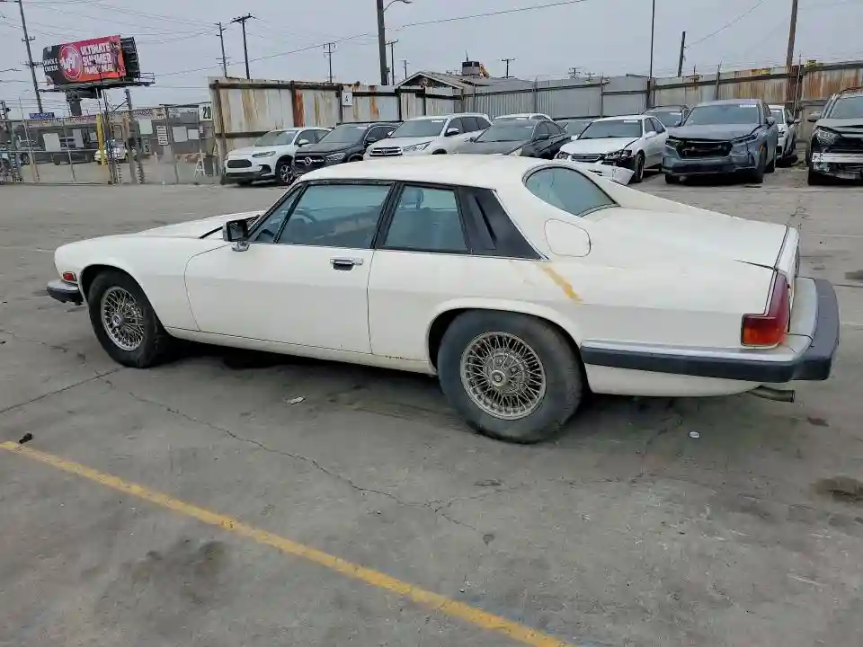 SAJNV5842EC113497 1984 JAGUAR XJS-1
