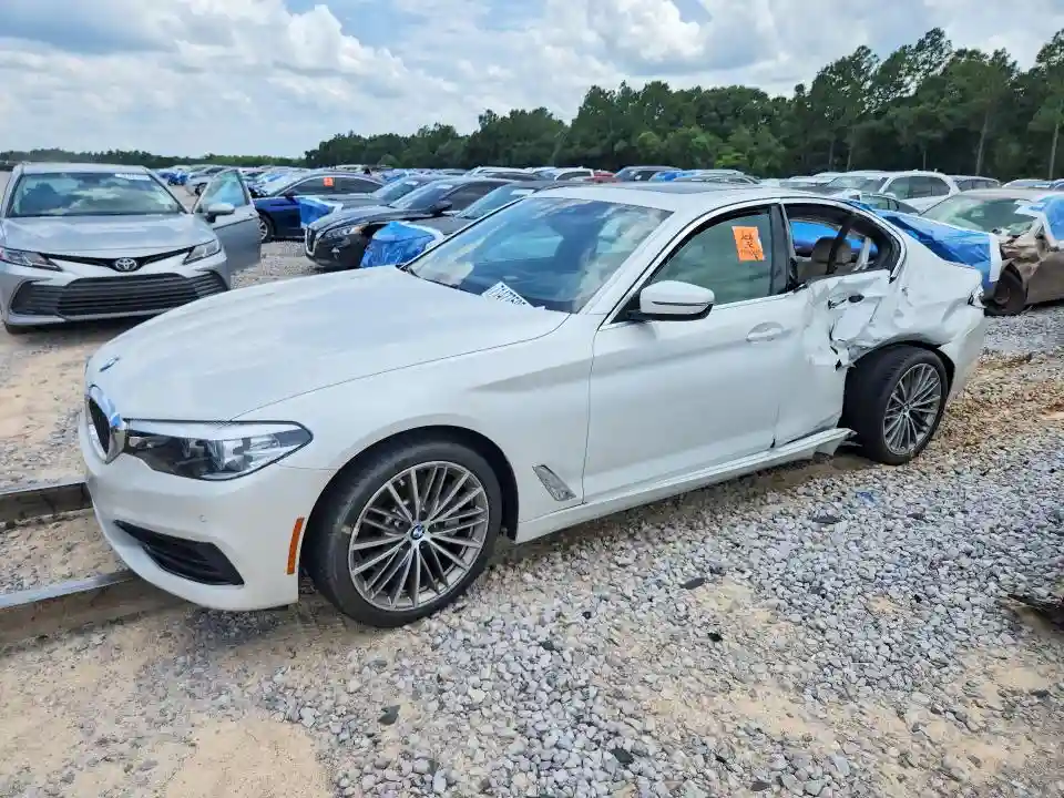 WBAJR3C0XLWW55062 2020 BMW 5 SERIES-0