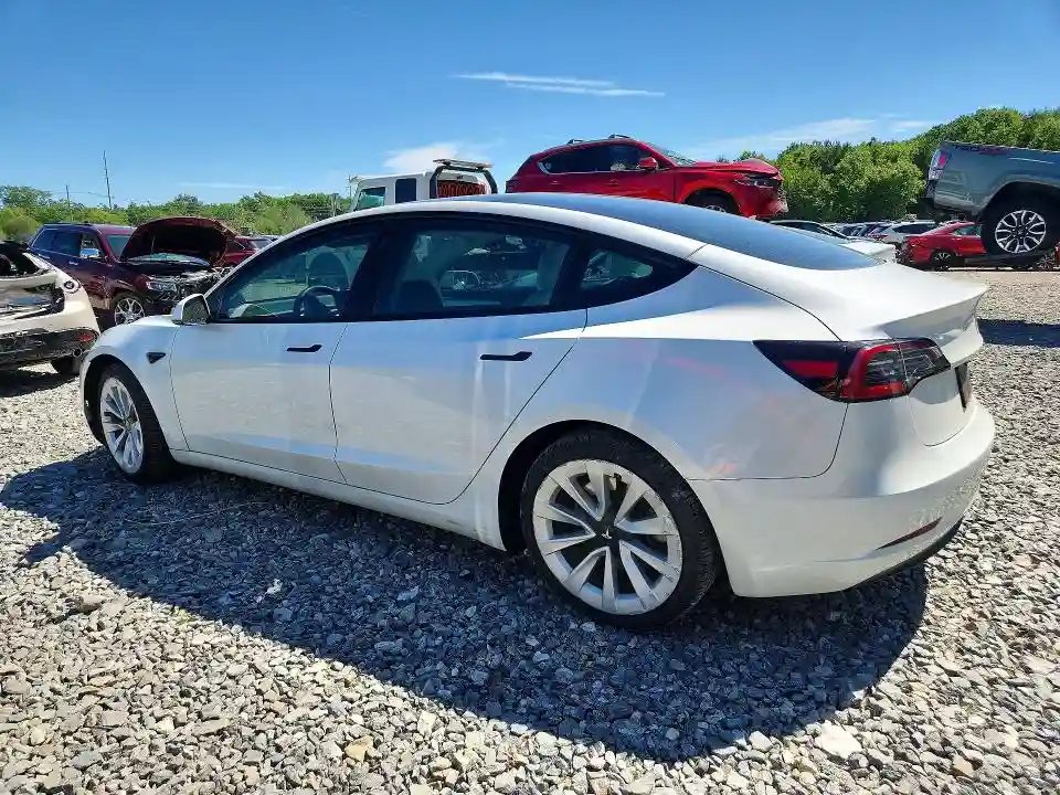5YJ3E1EA8PF655654 2023 TESLA MODEL 3-1