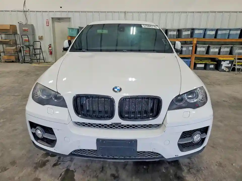 5UXFG8C56BLZ96304 2011 BMW X6-4
