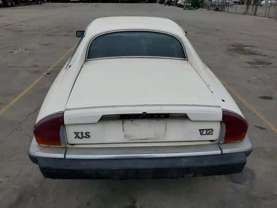 SAJNV5842EC113497 1984 JAGUAR XJS-5
