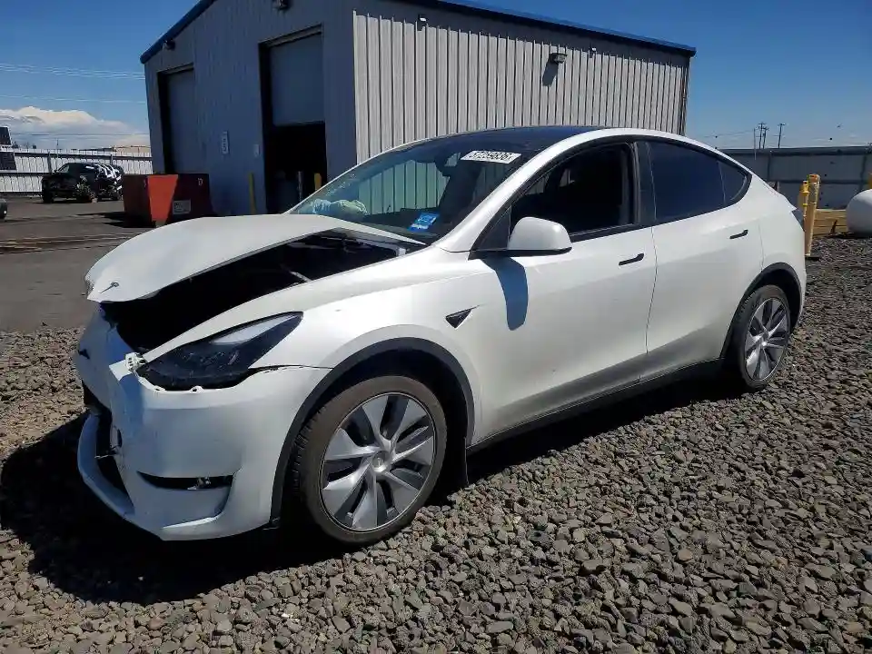 7SAYGDEEXPF842501 2023 TESLA MODEL Y-0