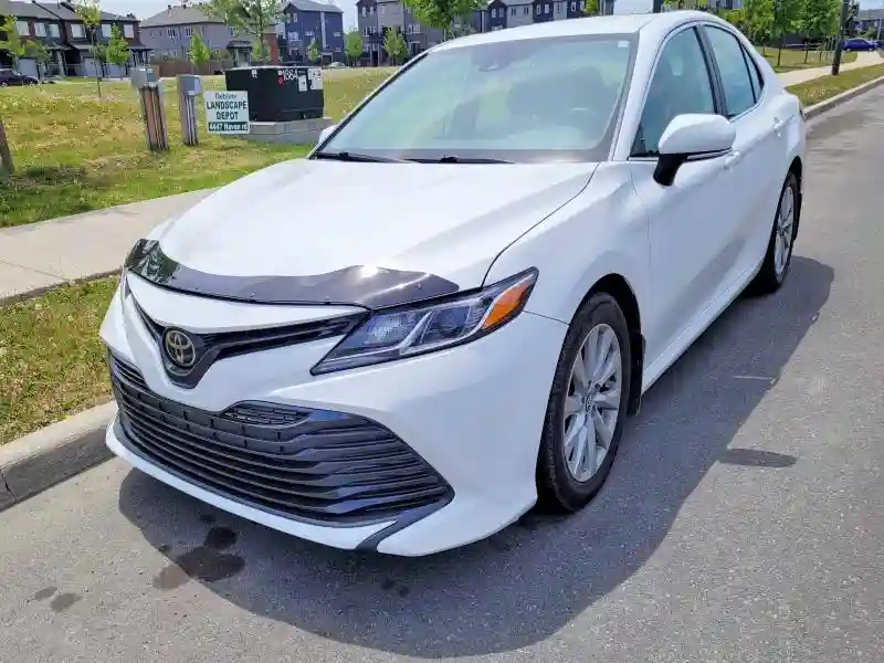 4T1C11AK8LU926137 2020 TOYOTA CAMRY-1
