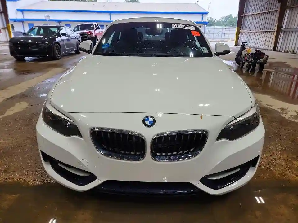 WBA1F9C53GV546364 2016 BMW 2 SERIES-4