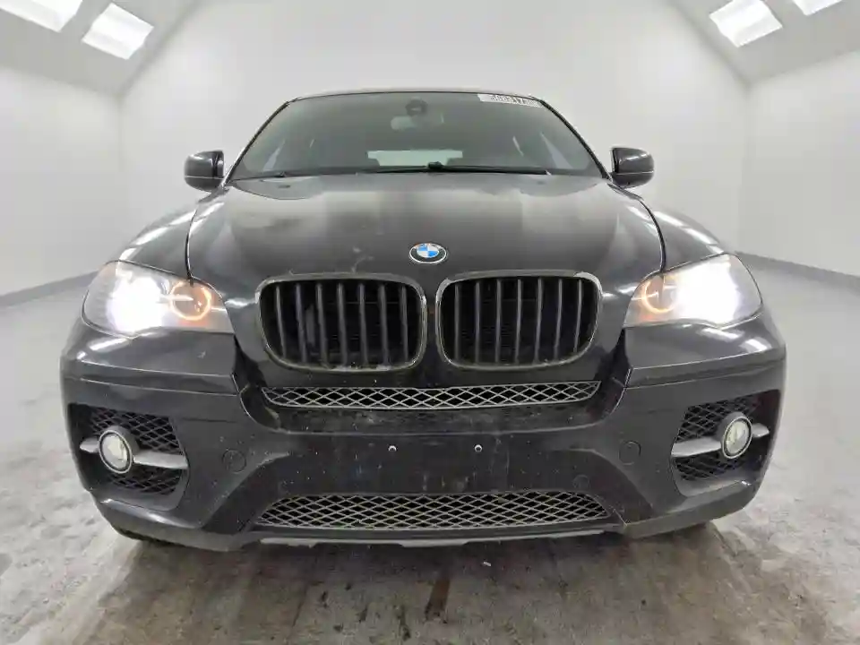 5UXFG8C56BLZ95976 2011 BMW X6-4
