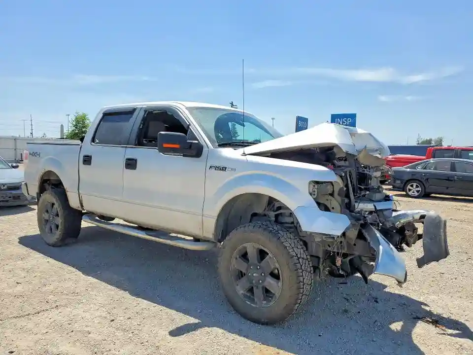 1FTFW1EV9AKA49478 2010 FORD F-150-3