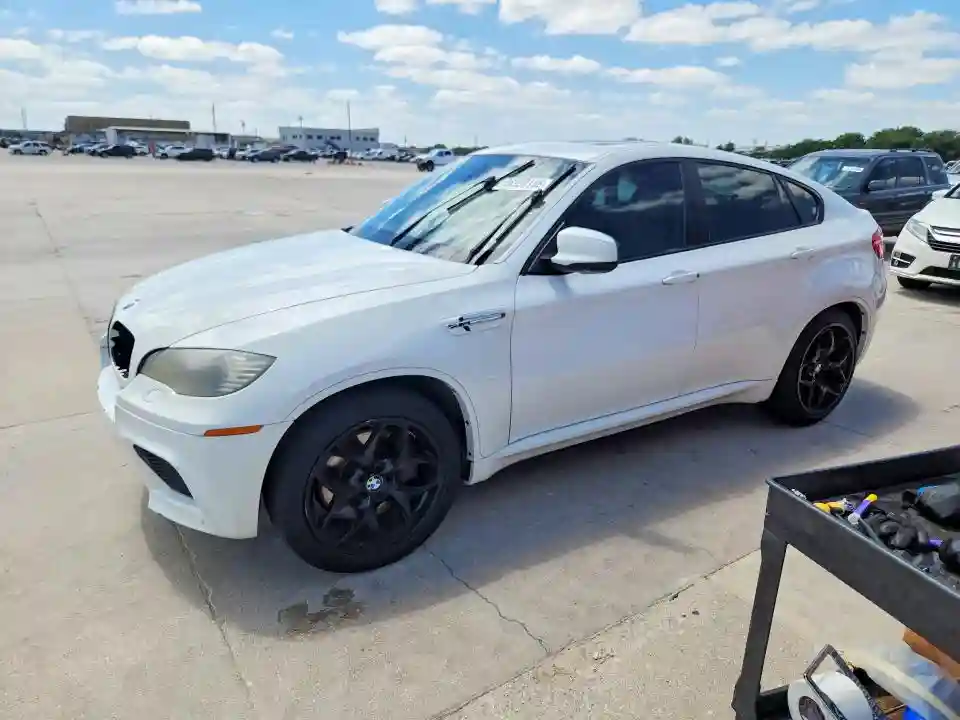5YMGZ0C50ALK13081 2010 BMW X6-0