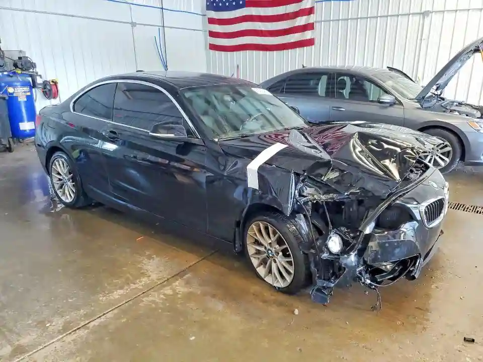 WBA1G9C54GV726630 2016 BMW 2 SERIES-3