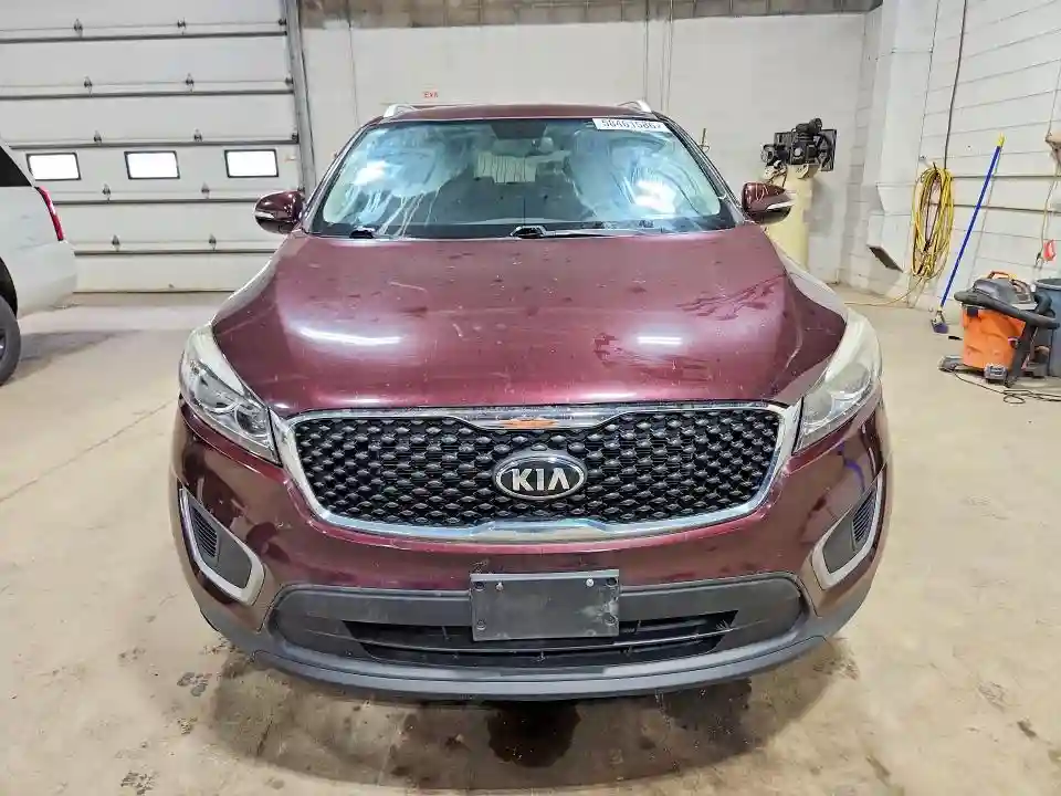 5XYPGDA52GG127462 2016 KIA SORENTO-4