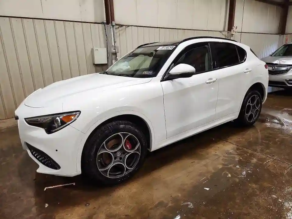 ZASPAKAN6L7C96064 2020 ALFA ROMEO STELVIO-0