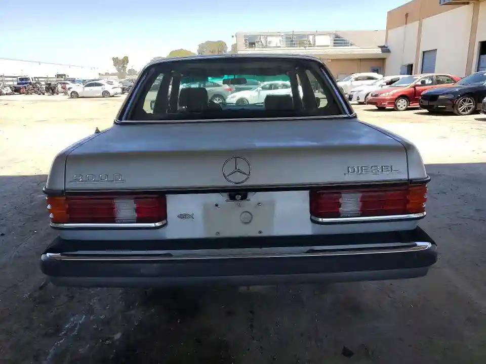 12313012187624 1980 MERCEDES-BENZ 300-CLASS-5