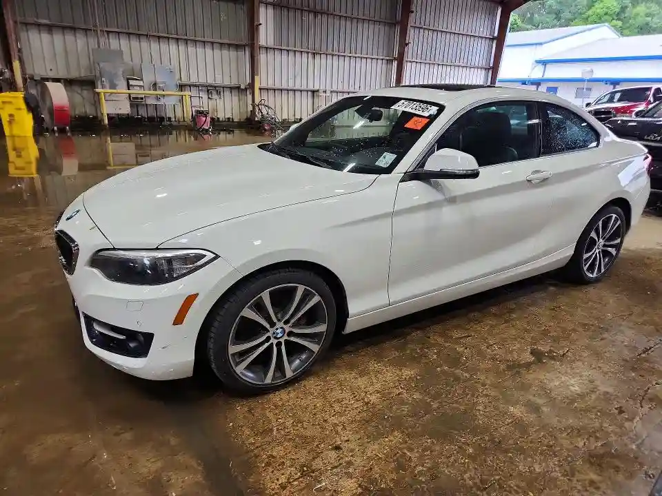 WBA1F9C53GV546364 2016 BMW 2 SERIES-0