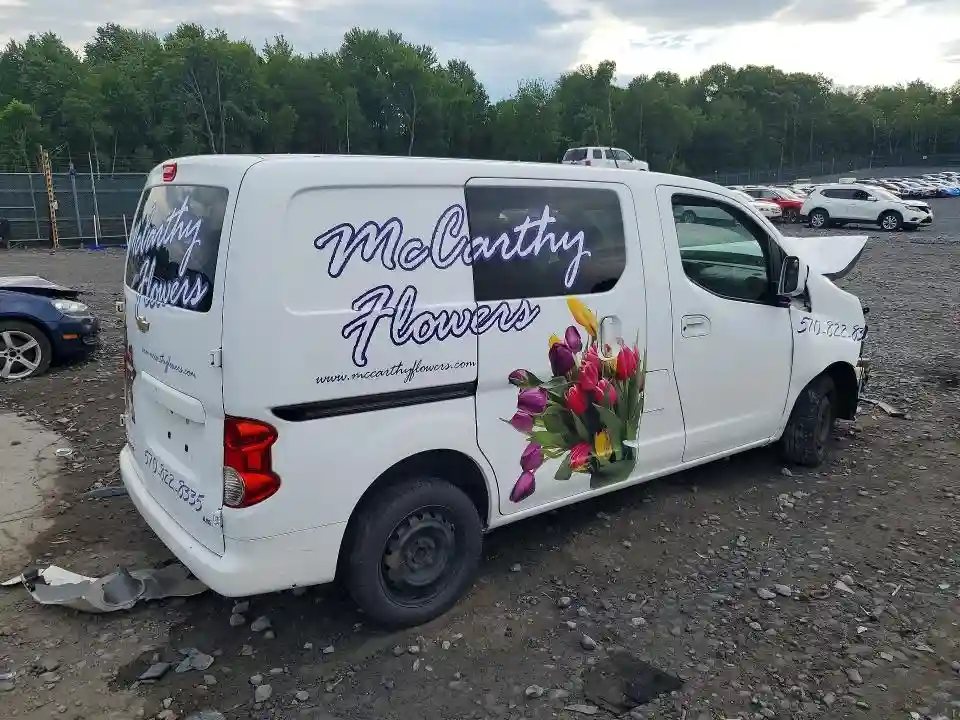 3N63M0YN4FK717548 2015 CHEVROLET EXPRESS-2
