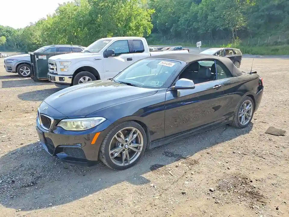 WBA1M5C5XGV326721 2016 BMW M2-0