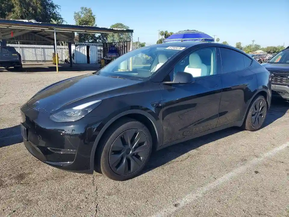 7SAYGDED6SF233762 2025 TESLA MODEL Y-0