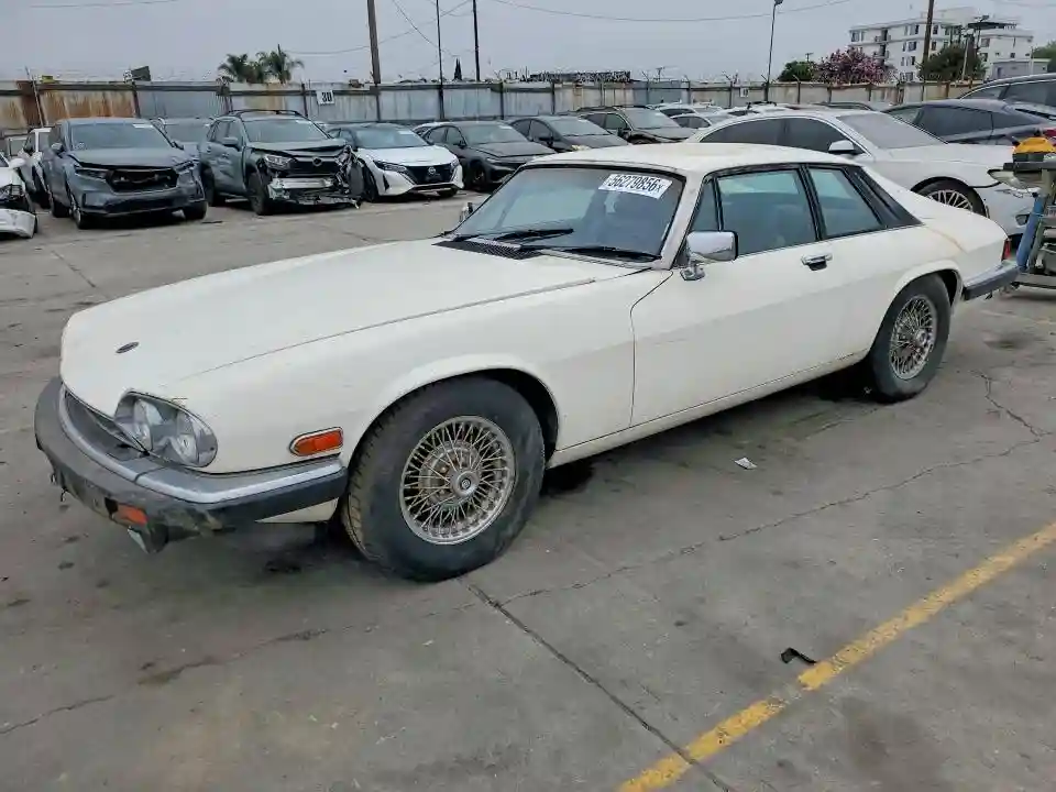 SAJNV5842EC113497 1984 JAGUAR XJS-0