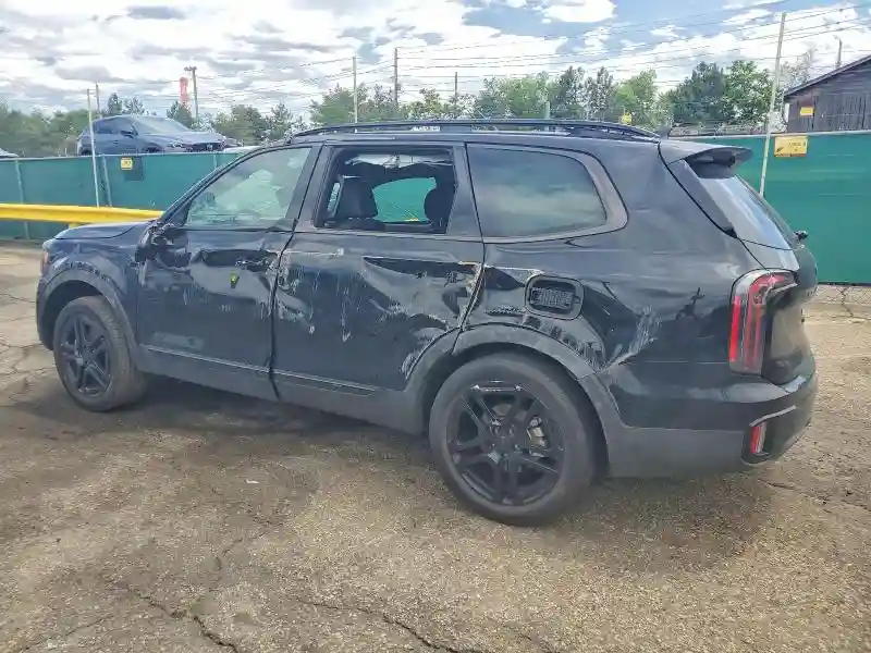 5XYP3DGCXSG736339 2025 KIA TELLURIDE-1
