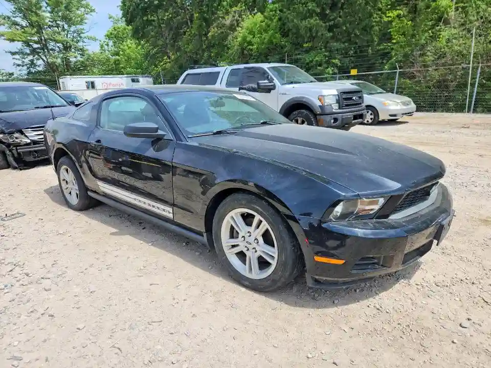 1ZVBP8AN4A5163183 2010 FORD MUSTANG-3
