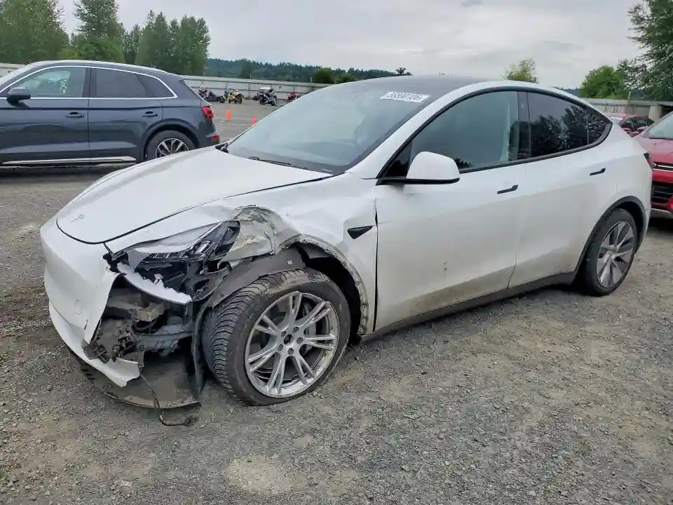 5YJYGDEE3LF050729 2020 TESLA MODEL Y-0
