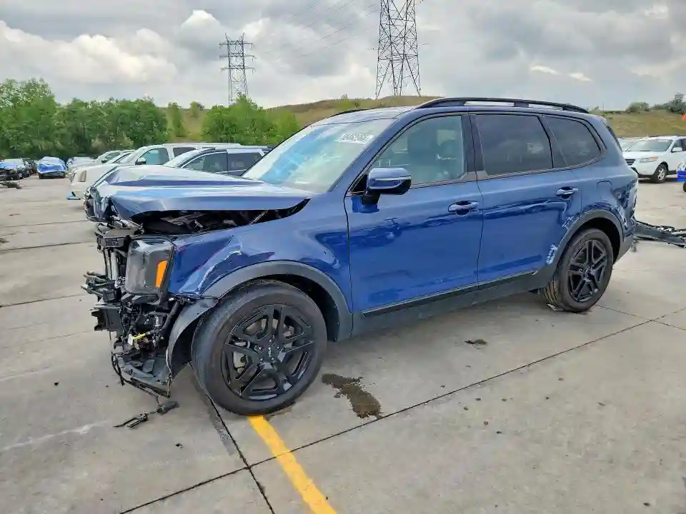 5XYP5DGCXRG428916 2024 KIA TELLURIDE-0