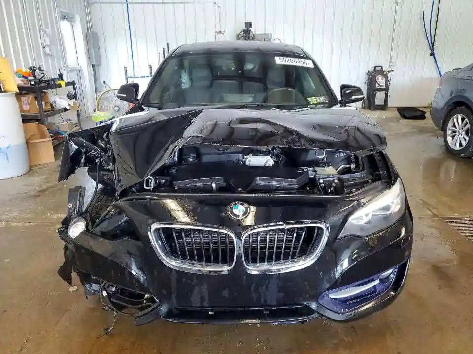 WBA1G9C54GV726630 2016 BMW 2 SERIES-4