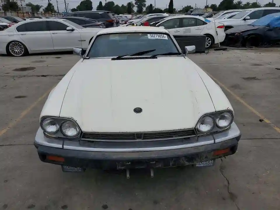 SAJNV5842EC113497 1984 JAGUAR XJS-4